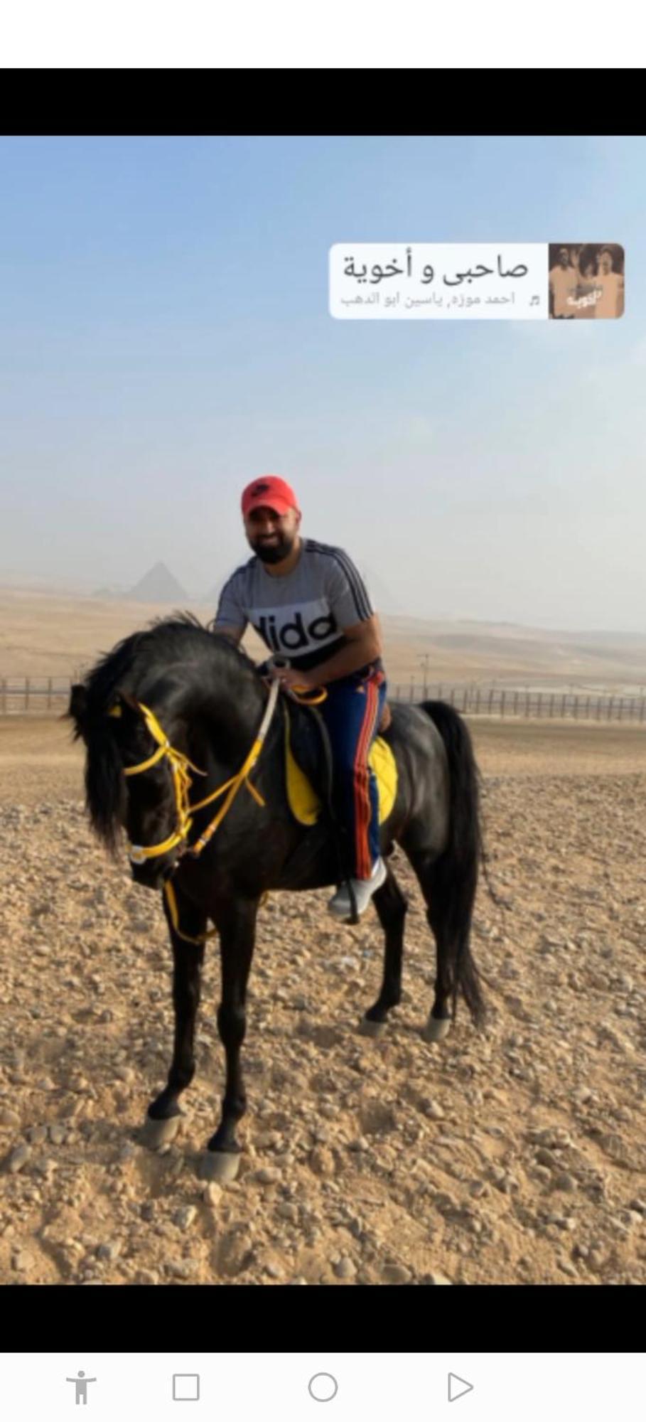 Mesho Falcon Pyramids View Inn Kafret el-Gabal Екстериор снимка